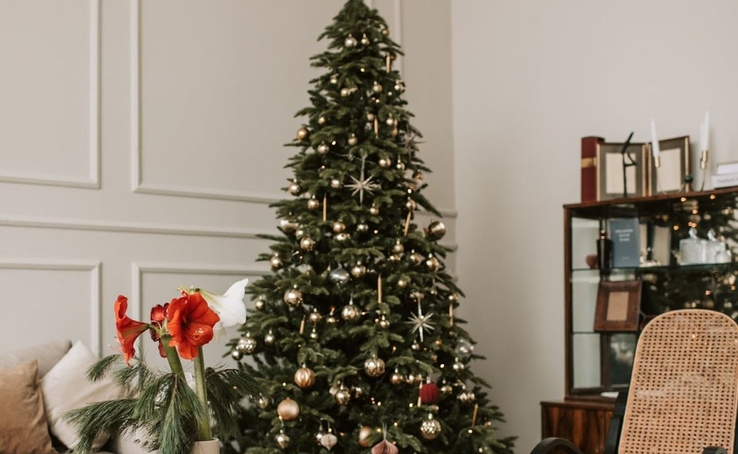 Preparing the house for the New Year: holiday decor ideas