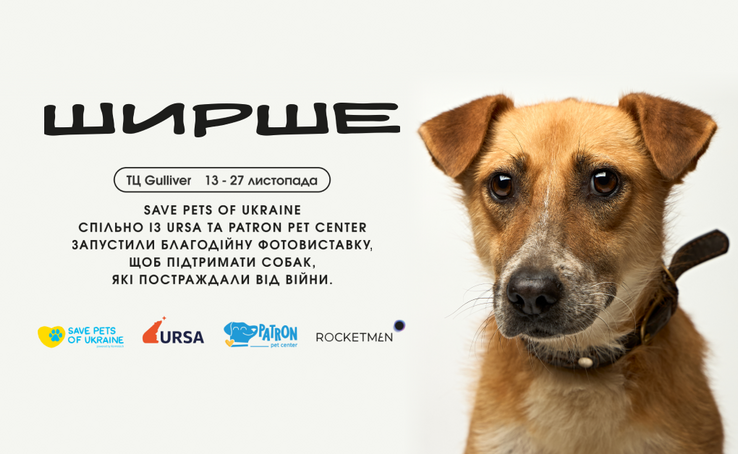 Photo exhibition of rescued animals